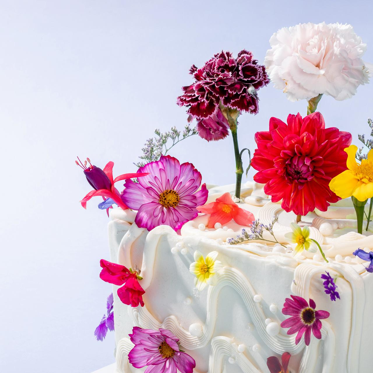 Pasteles tette